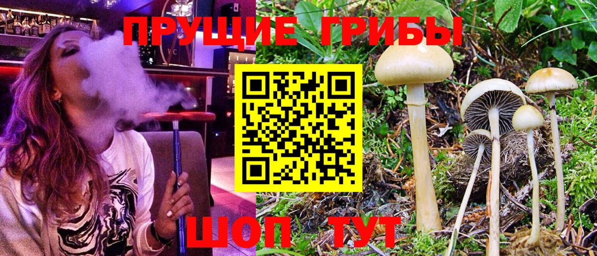 Псилоцибиновые грибы ЛСД Тосно